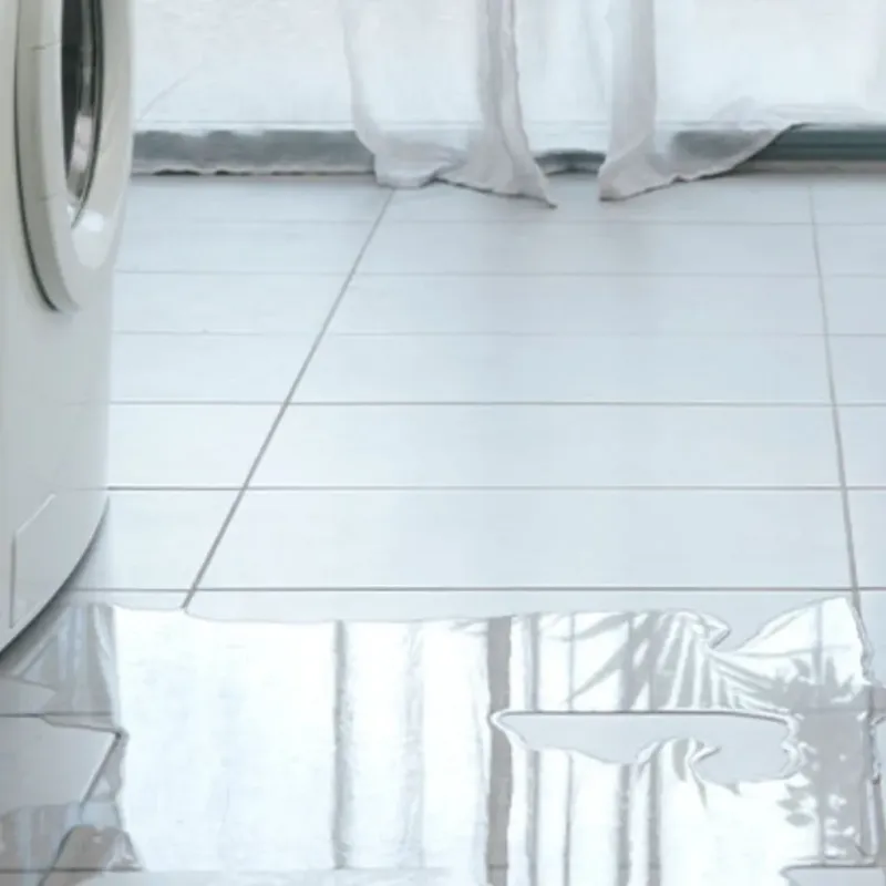 Appliance Leak Cleanup in Portola, CA
